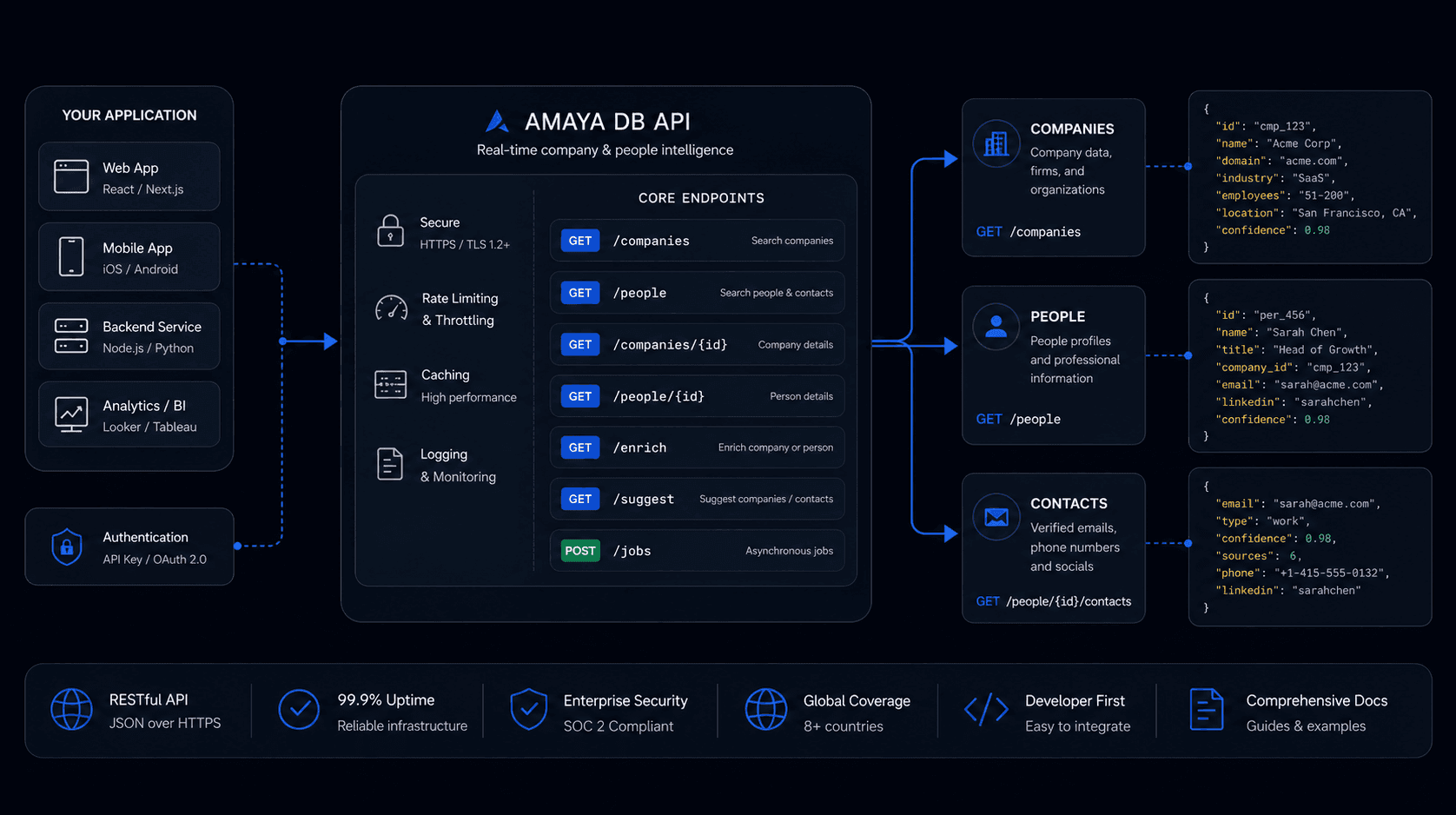 Amaya DB API architecture: your application connects through authentication to core endpoints for companies, people, and contacts, returning structured JSON records
